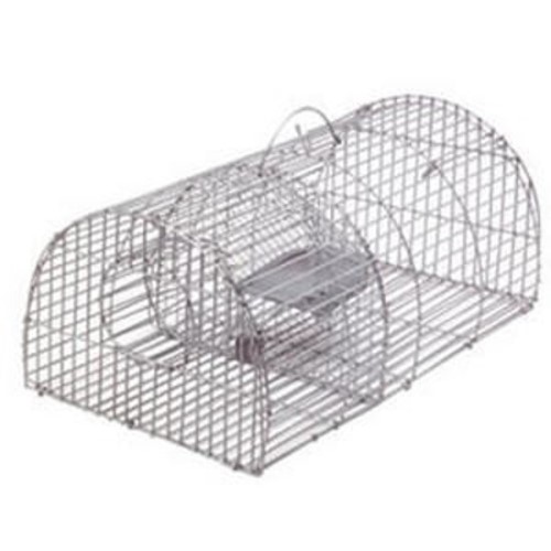 Muizen en ratten