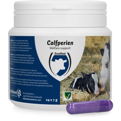 Calfperien pil voor kalveren - 24 stuks