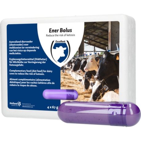 Ener bolus - 4 stuks