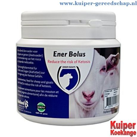 Ener bolus - 24 stuks