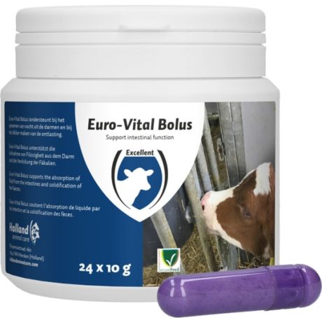 Euro-vital bolus - 24 stuks