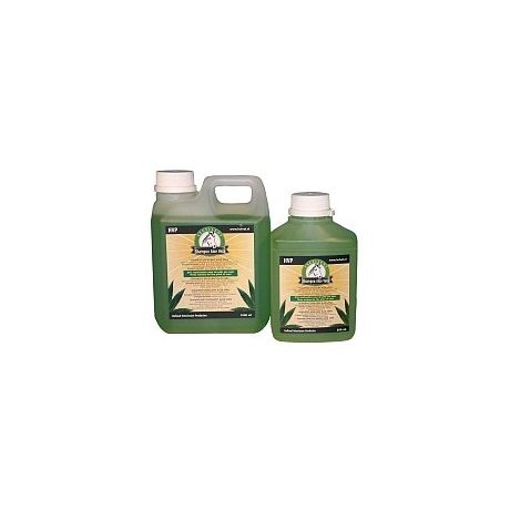 Excellent Shampoo Aloe Vera 1liter