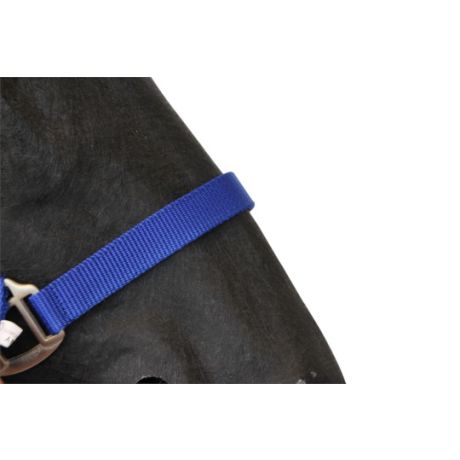 Halster classic blauw mini foal - XXS