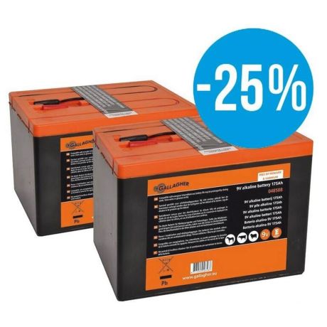 Gallagher PowerPack batterij Duo 2 x 175Ah