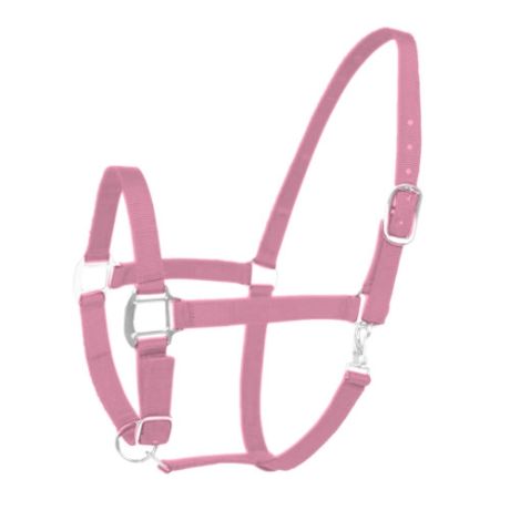 Halster excellent roze - pony