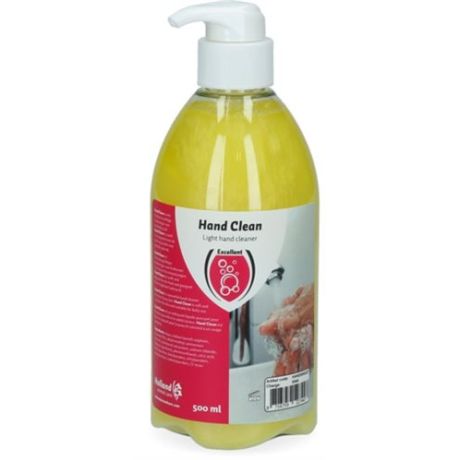 Handclean met pomp - 500ml | Kuiper Koekange