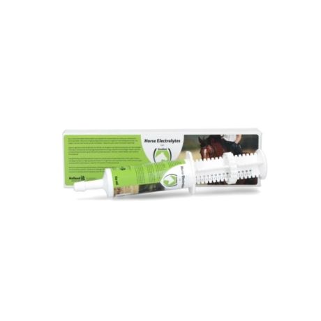 Horse electrolytes gel injector