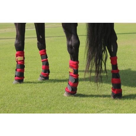 Horse armor knockdown beenwarmers