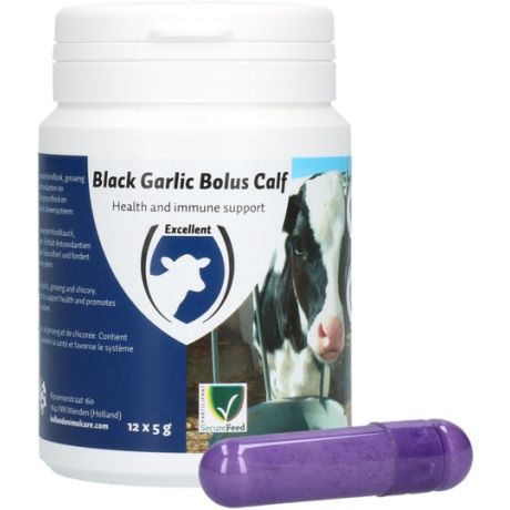 Black garlic bolus calf - 12 stuks