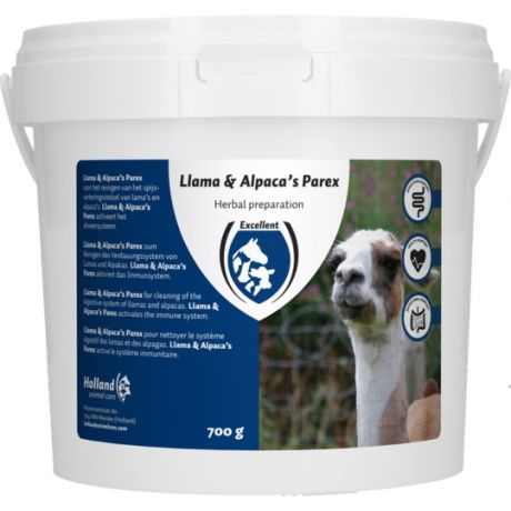 Lama en alpaca's parex - 700gr