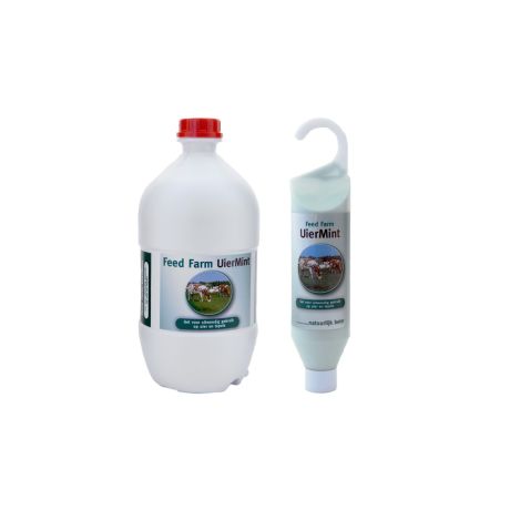 Maxi Mint 500 ml