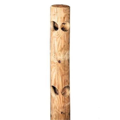 Rond door rond hoekpalen 225cm x 14cm | Kuiper Koekange