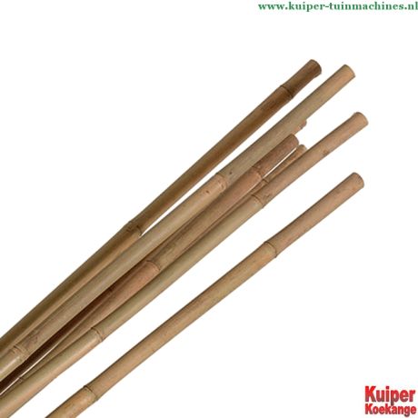 Bamboestokken 240cm hoog - 18/20mm dik | Kuiper Koekange