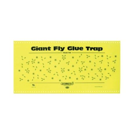 Fly Glue Giant + traktatie | Kuiper Koekange