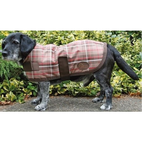 Hondendeken Thor, Brownie geruit maat 60 | Kuiper Koekange