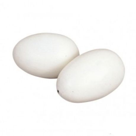 Kippeneieren 2 stuks | Kuiper Koekange