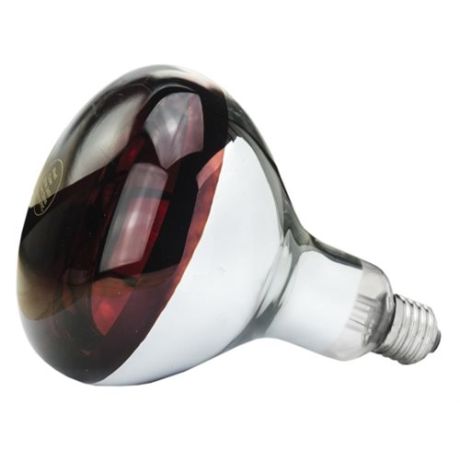 Philips warmtelamp rood 150 Watt