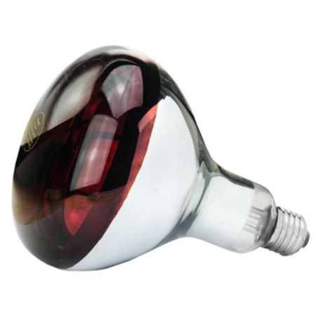 Philips warmtelamp rood 250 Watt
