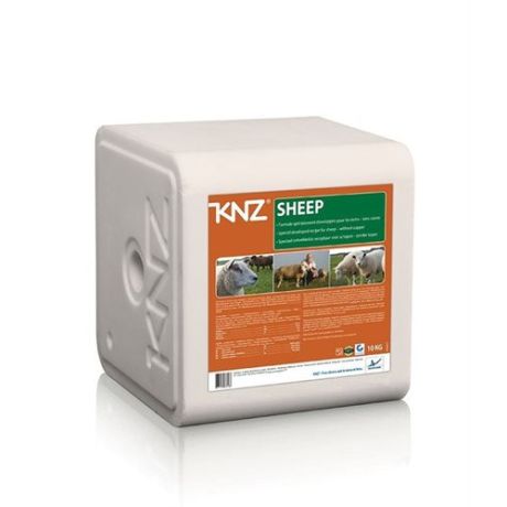 Liksteen schaap 10kg