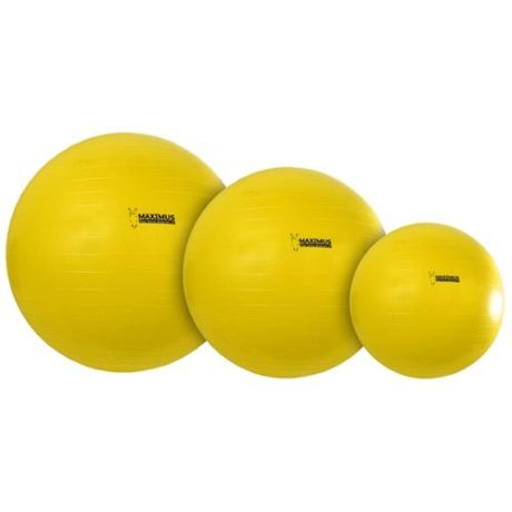 Maximus power play ball 75cm
