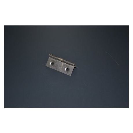 Scharnier met veer groot | Kuiper Koekange