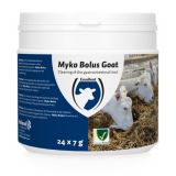 Myko bolus goat - 24 stuks